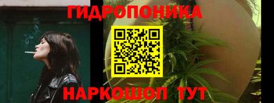 соль ск Сланцы