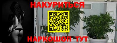 ПСИЛОЦИБИНОВЫЕ ГРИБЫ Славгород